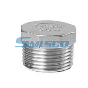 Stainless Steel BSP Bushing Casting Fitting 150LB Manufacturer for Pipeline Systems